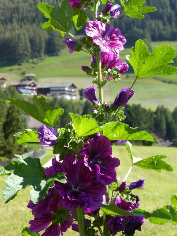 Apartamento Haus Panoramablick Kals-am Großglockner Exterior foto